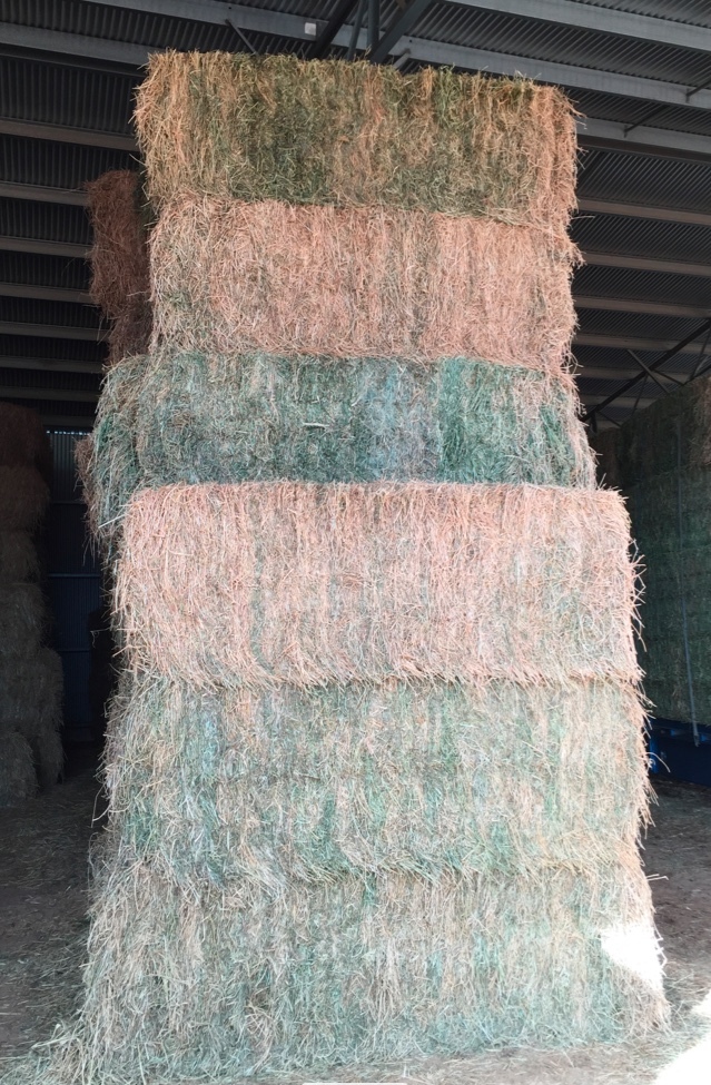 Lucerne Hay For Sale in 8x4x3's Farm Tender